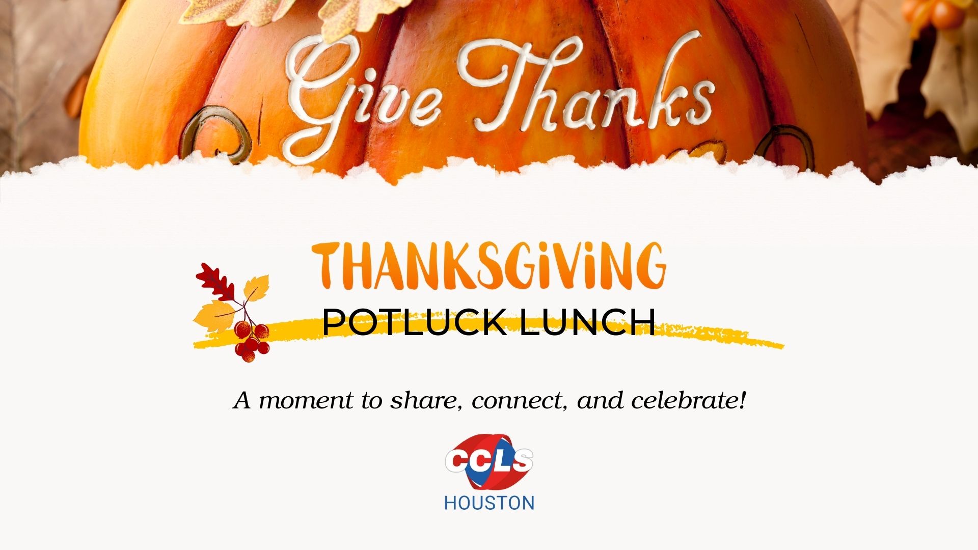 Potluck 2025: A Day of Food, Fun & Community