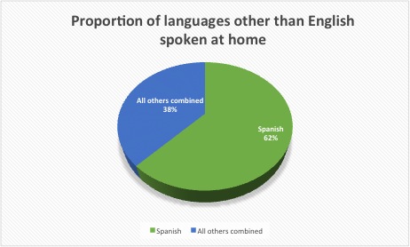 Spanish in Immigrant Nation